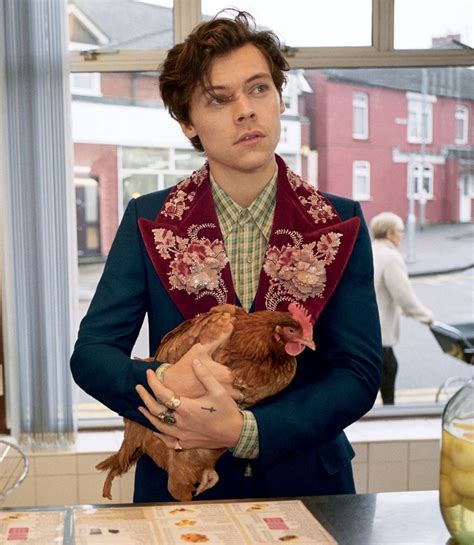 harry styles gucci advert 2019|Gucci campaign Harry Styles.